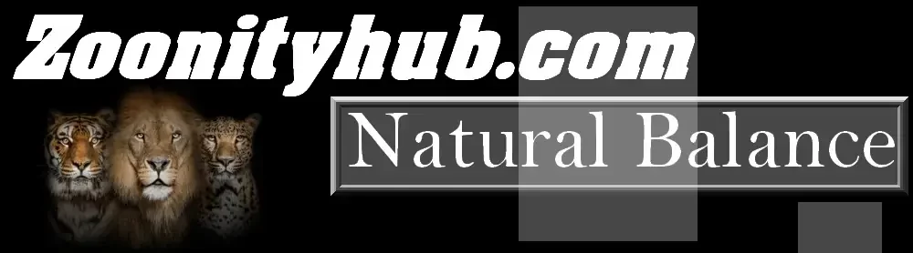 zoonityhub.com
